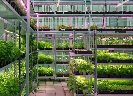 Greenhouse & Nursery